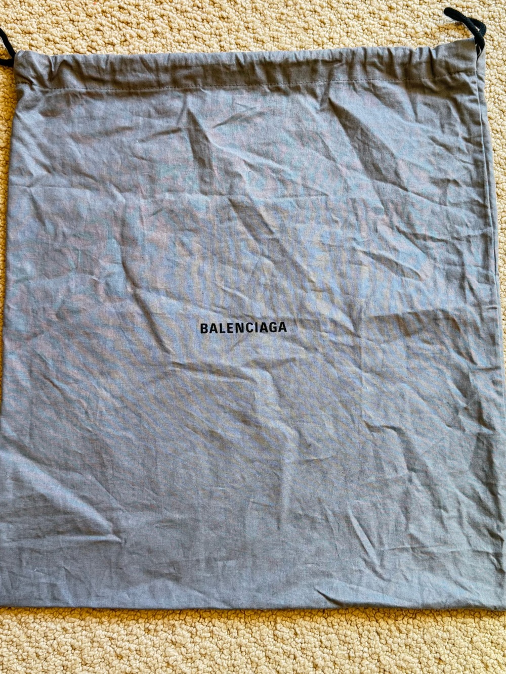 Balenciaga dustbag